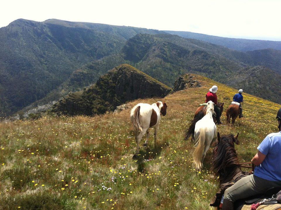 McCormack Trail Rides