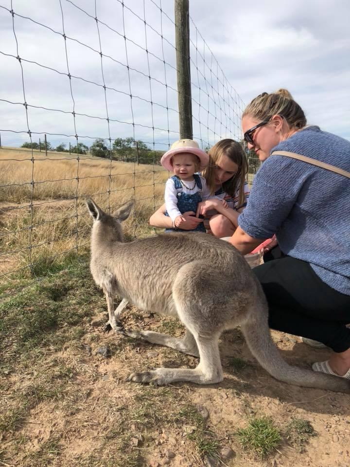 Mansfield Zoo